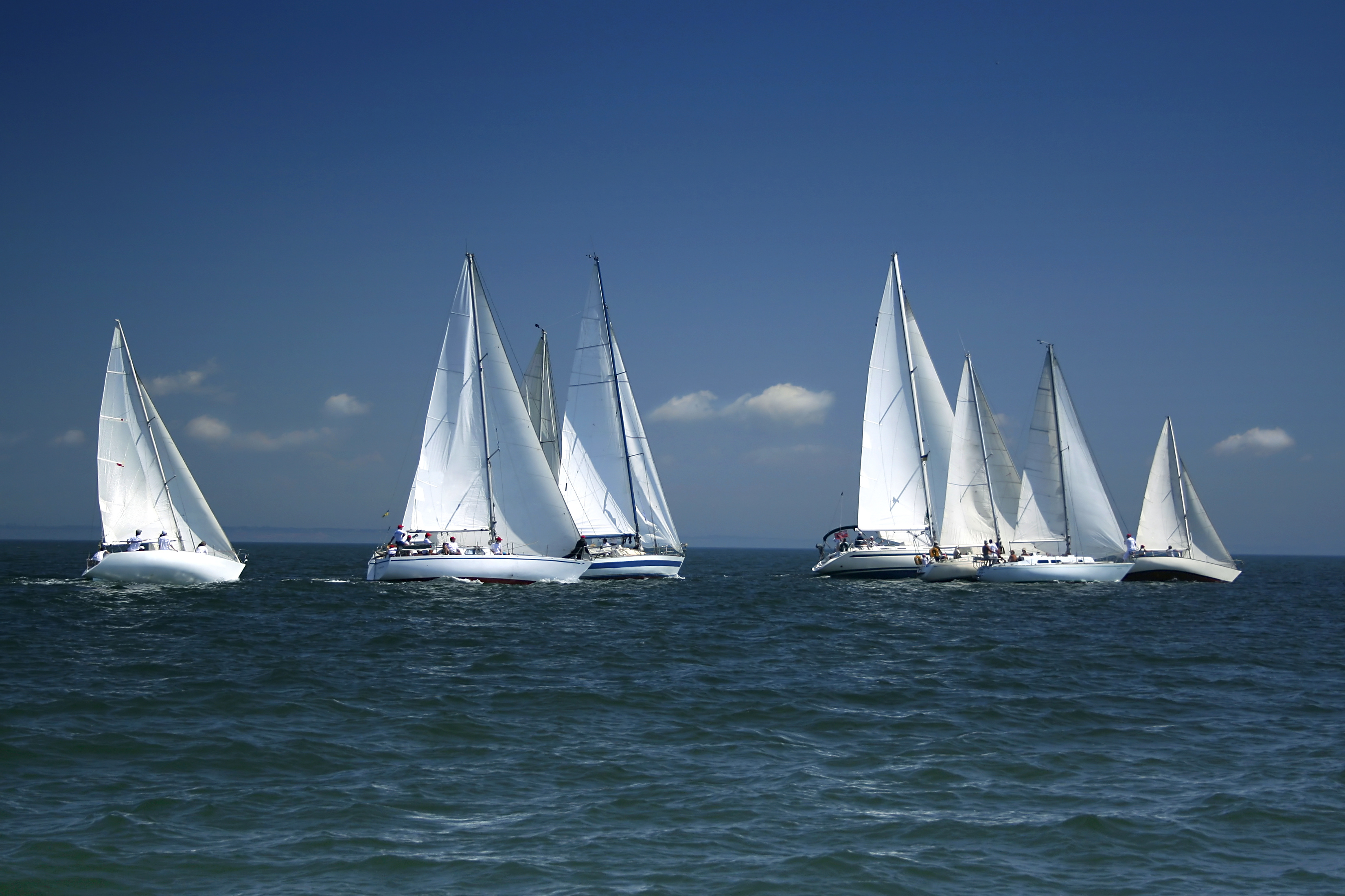 regatta sailboat race