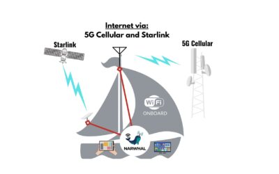 Why Combine Starlink with Cellular Connectivity?